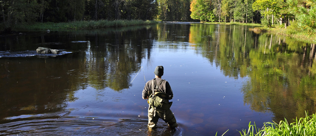 5 of The Best Fly Fishing Spots in South Africa | Drive South Africa (US)